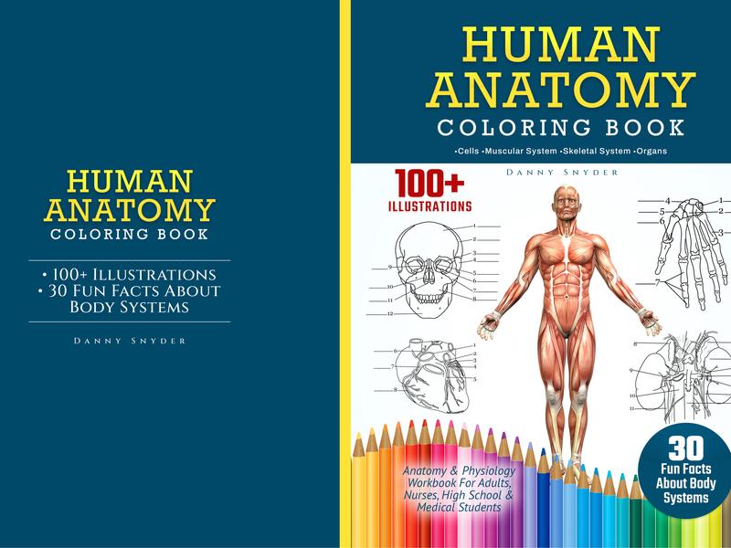 Human Anatomy Coloring Book