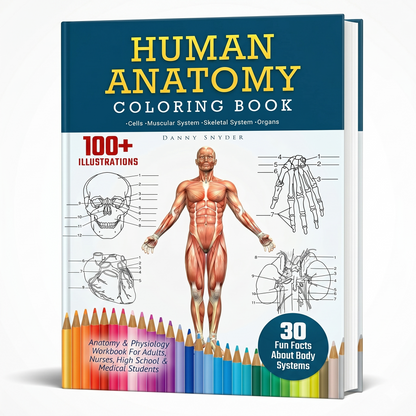 Human Anatomy Coloring Book